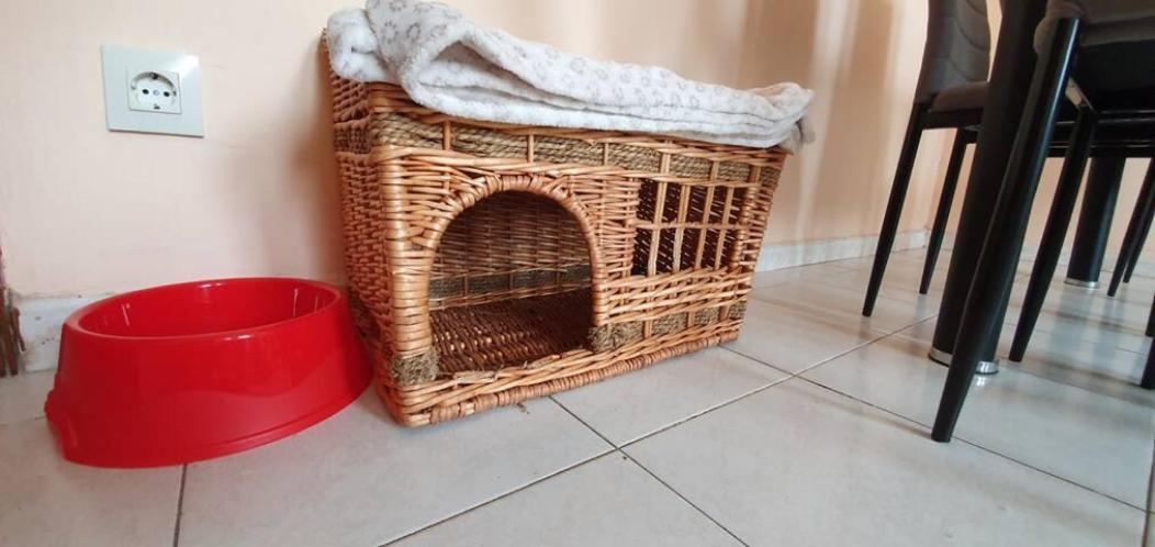 Apartament Piso Centrico - Desayuno De Bienvenida Ferrol Zewnętrze zdjęcie